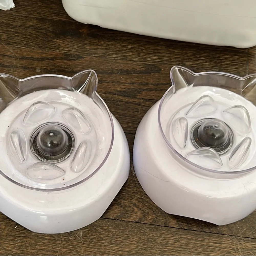 Raised cat bowls